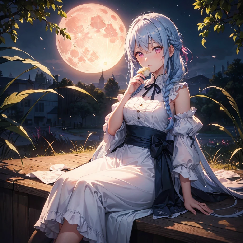 (Sky blue braided medium length hair), (Pink eyes),(Fair skin) ,(whole body),(One Girl),(harvest moon),(A large amount of Miscanthus sinensis in the background),(full moon),(masterpiece, Highest quality, Very detailed, Best Shadow), (Detailed Background), (Beautifully detailed face), High Contrast, (Best lighting, Very delicate and beautiful), ((Cinematic Light)), Hyper Detail,8k, Dramatic Light, Intricate details,(sitting down to eat rice dumplings)