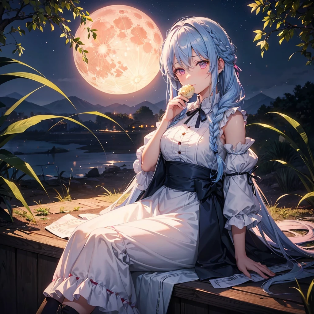 (Sky blue braided medium length hair), (Pink eyes),(Fair skin) ,(whole body),(One Girl),(harvest moon),(A large amount of Miscanthus sinensis in the background),(full moon),(masterpiece, Highest quality, Very detailed, Best Shadow), (Detailed Background), (Beautifully detailed face), High Contrast, (Best lighting, Very delicate and beautiful), ((Cinematic Light)), Hyper Detail,8k, Dramatic Light, Intricate details,(sitting down to eat rice dumplings)