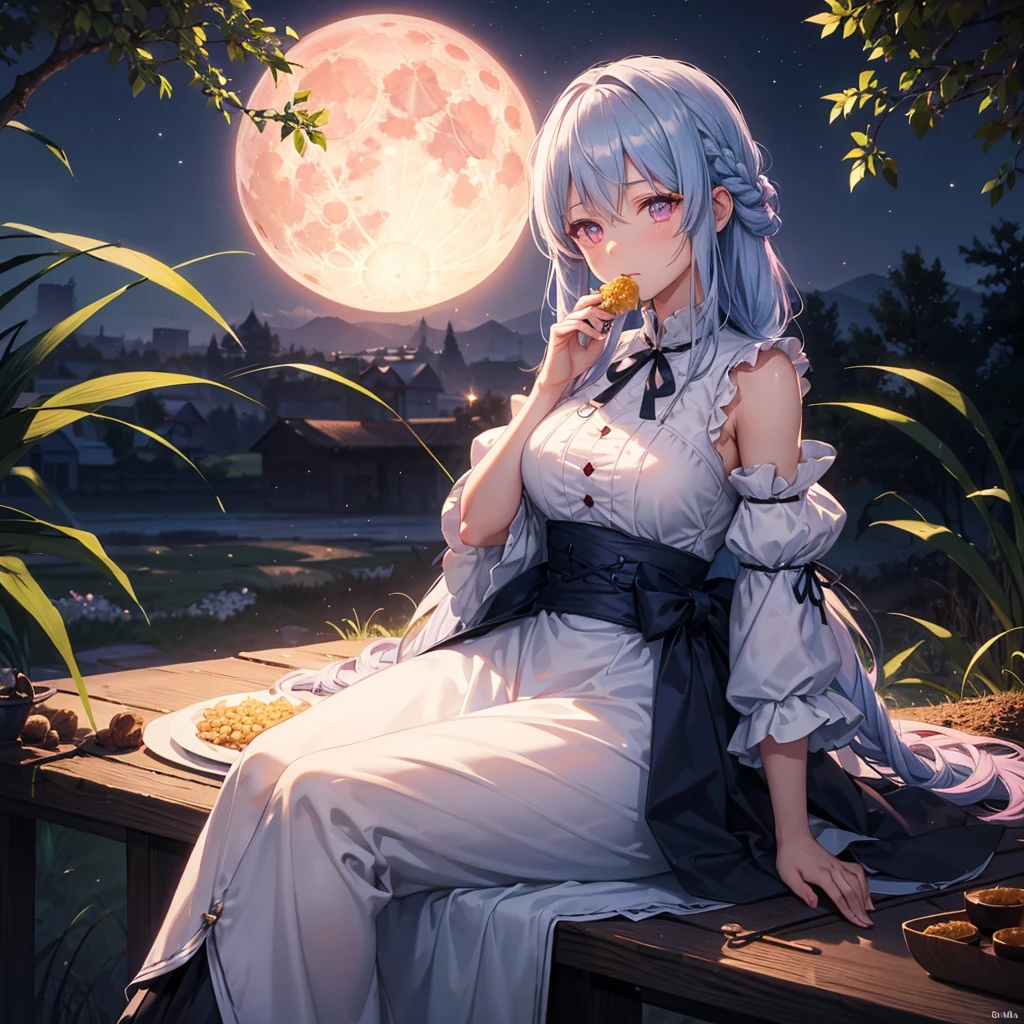 (Sky blue braided medium length hair), (Pink eyes),(Fair skin) ,(whole body),(One Girl),(harvest moon),(A large amount of Miscanthus sinensis in the background),(full moon),(masterpiece, Highest quality, Very detailed, Best Shadow), (Detailed Background), (Beautifully detailed face), High Contrast, (Best lighting, Very delicate and beautiful), ((Cinematic Light)), Hyper Detail,8k, Dramatic Light, Intricate details,(sitting down to eat rice dumplings)