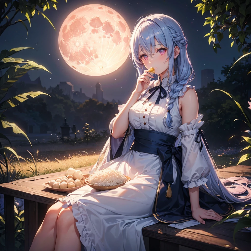 (Sky blue braided medium length hair), (Pink eyes),(Fair skin) ,(whole body),(One Girl),(harvest moon),(A large amount of Miscanthus sinensis in the background),(full moon),(masterpiece, Highest quality, Very detailed, Best Shadow), (Detailed Background), (Beautifully detailed face), High Contrast, (Best lighting, Very delicate and beautiful), ((Cinematic Light)), Hyper Detail,8k, Dramatic Light, Intricate details,(sitting down to eat rice dumplings)