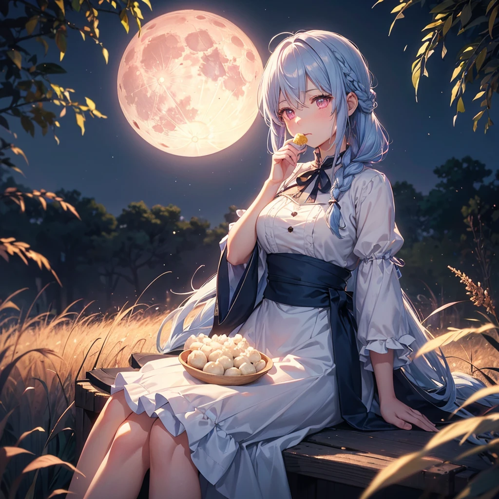 (Sky blue braided medium length hair), (Pink eyes),(Fair skin) ,(whole body),(One Girl),(harvest moon),(A large amount of Miscanthus sinensis in the background),(full moon),(masterpiece, Highest quality, Very detailed, Best Shadow), (Detailed Background), (Beautifully detailed face), High Contrast, (Best lighting, Very delicate and beautiful), ((Cinematic Light)), Hyper Detail,8k, Dramatic Light, Intricate details,(sitting down to eat rice dumplings)
