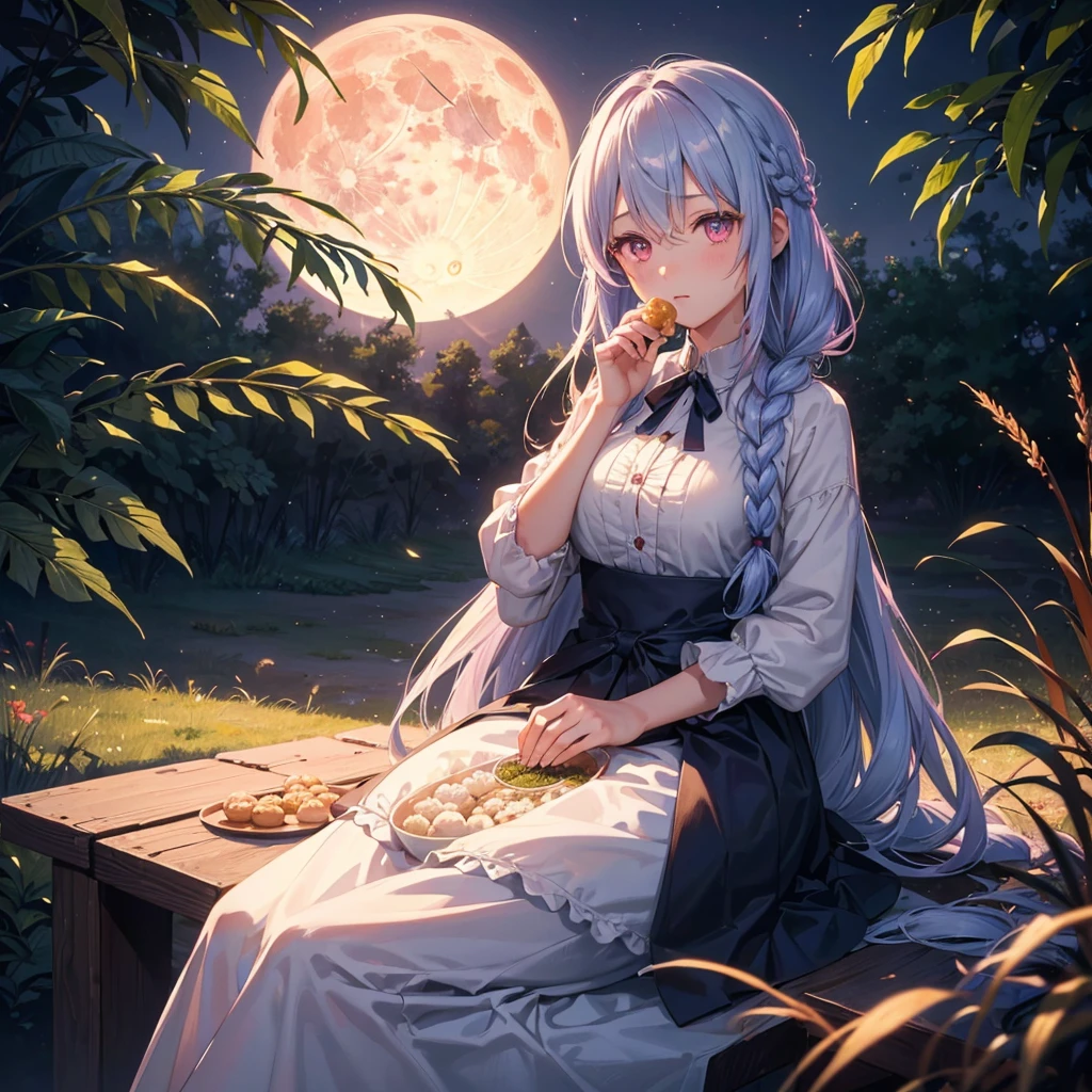 (Sky blue braided medium length hair), (Pink eyes),(Fair skin) ,(whole body),(One Girl),(harvest moon),(A large amount of Miscanthus sinensis in the background),autumn,(full moon),(masterpiece, Highest quality, Very detailed, Best Shadow), (Detailed Background), (Beautifully detailed face), High Contrast, (Best lighting, Very delicate and beautiful), ((Cinematic Light)), Hyper Detail,8k, Dramatic Light, Intricate details,(sitting down to eat rice dumplings)