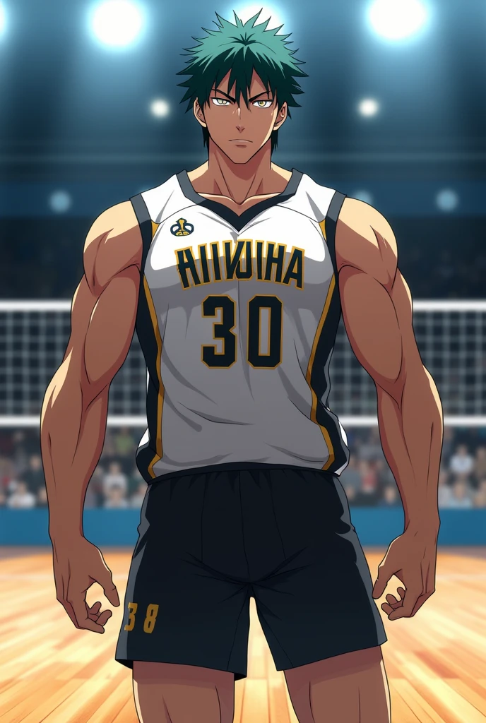 Ushijima Wakatoshi from Haikyuu
