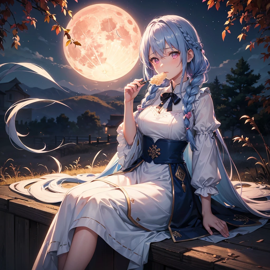 (Sky blue braided medium length hair), (Pink eyes),(Fair skin)  ,(whole body),(One Girl),(harvest moon),(A large amount of Miscanthus sinensis in the background),autumn,(full moon),(masterpiece, Highest quality, Very detailed, Best Shadow), (Detailed Background), (Beautifully detailed face), High Contrast, (Best lighting, Very delicate and beautiful), ((Cinematic Light)), Hyper Detail,8k, Dramatic Light, Intricate details,(sitting down to eat rice dumplings)