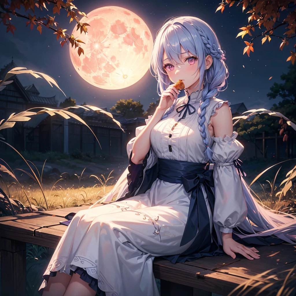 (Sky blue braided medium length hair), (Pink eyes),(Fair skin) ,(whole body),(One Girl),(harvest moon),(A large amount of Miscanthus sinensis in the background),autumn,(full moon),(masterpiece, Highest quality, Very detailed, Best Shadow), (Detailed Background), (Beautifully detailed face), High Contrast, (Best lighting, Very delicate and beautiful), ((Cinematic Light)), Hyper Detail,8k, Dramatic Light, Intricate details,(sitting down to eat rice dumplings)