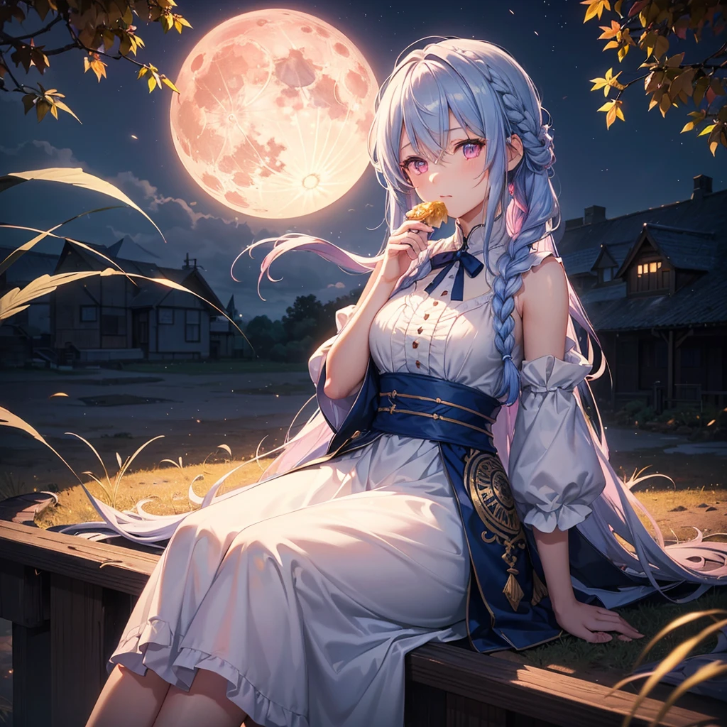 (Sky blue braided medium length hair), (Pink eyes),(Fair skin) ,(whole body),(One Girl),(harvest moon),(A large amount of Miscanthus sinensis in the background),autumn,(full moon),(masterpiece, Highest quality, Very detailed, Best Shadow), (Detailed Background), (Beautifully detailed face), High Contrast, (Best lighting, Very delicate and beautiful), ((Cinematic Light)), Hyper Detail,8k, Dramatic Light, Intricate details,(sitting down to eat rice dumplings)