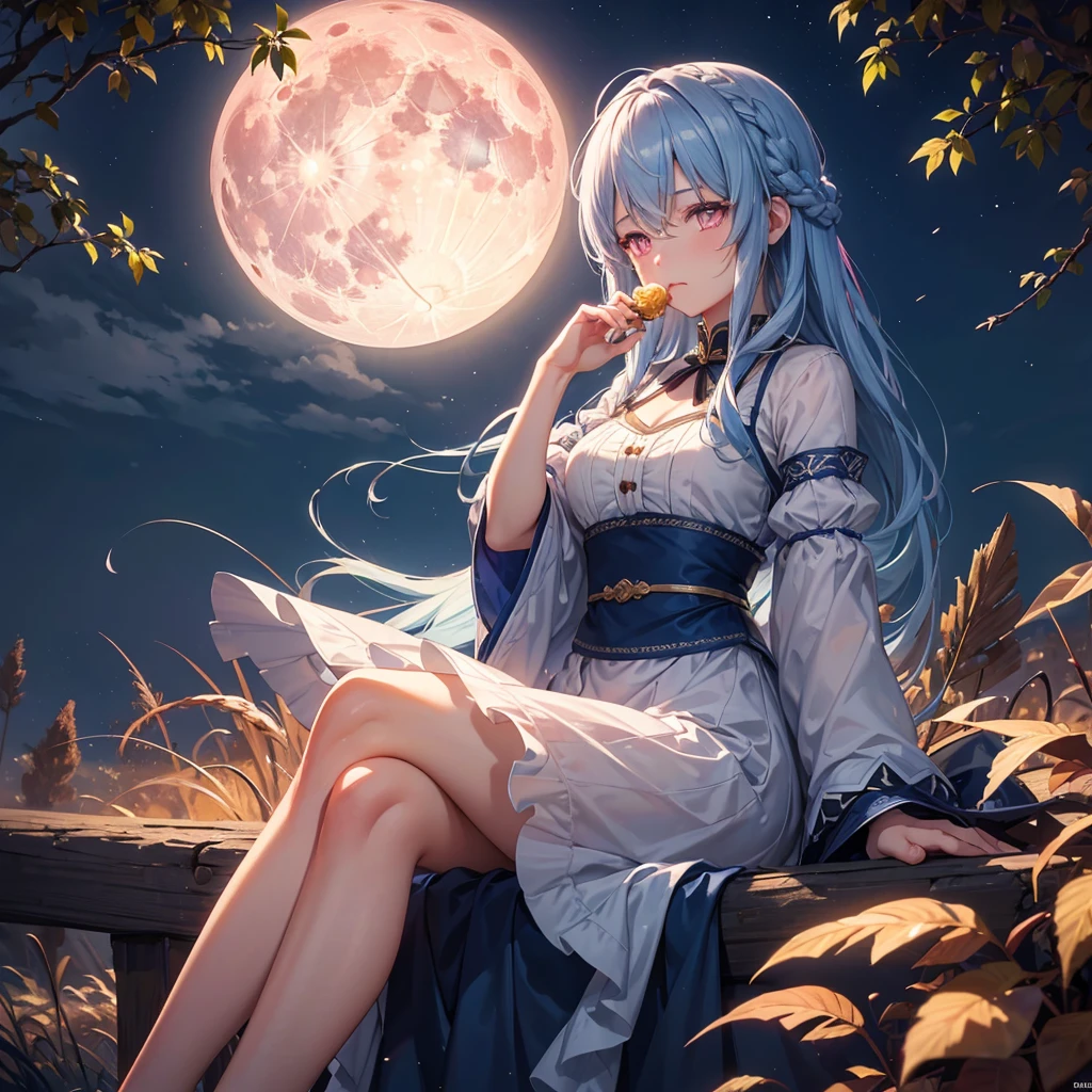 (Sky blue braided medium length hair), (Pink eyes),(Fair skin) ,(whole body),(One Girl),(harvest moon),(A large amount of Miscanthus sinensis in the background),autumn,(full moon),(masterpiece, Highest quality, Very detailed, Best Shadow), (Detailed Background), (Beautifully detailed face), High Contrast, (Best lighting, Very delicate and beautiful), ((Cinematic Light)), Hyper Detail,8k, Dramatic Light, Intricate details,(sitting down to eat rice dumplings)