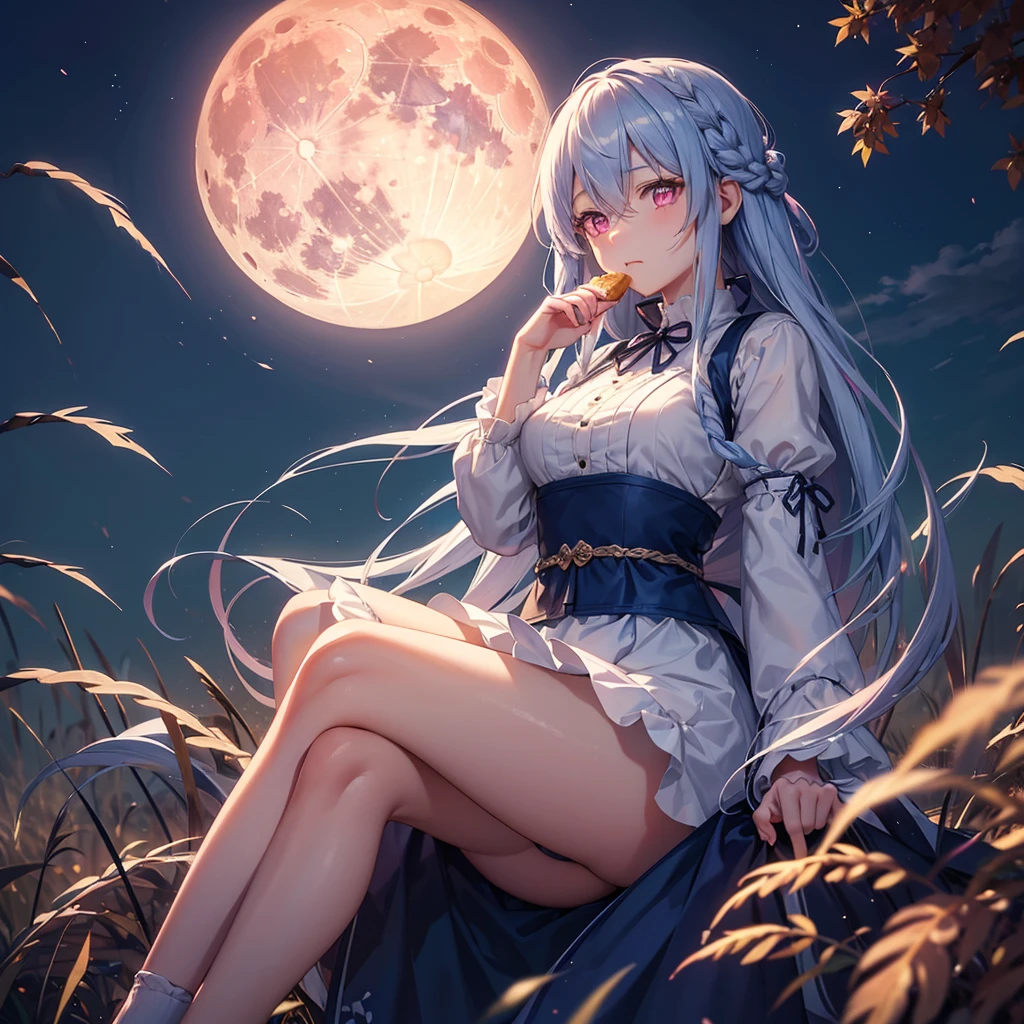 (Eating dumplings),(Sky blue braided medium length hair), (Pink eyes),(Fair skin)  ,(whole body),(One Girl),(harvest moon),(A large amount of Miscanthus sinensis in the background),autumn,(full moon),(masterpiece, Highest quality, Very detailed, Best Shadow), (Detailed Background), (Beautifully detailed face), High Contrast, (Best lighting, Very delicate and beautiful), ((Cinematic Light)), Hyper Detail,8k, Dramatic Light, Intricate details