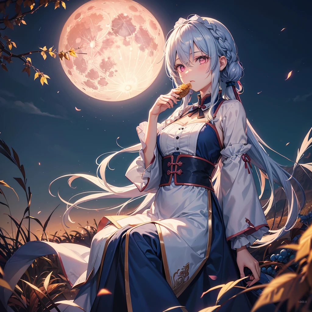 (Eating dumplings),(Sky blue braided medium length hair), (Pink eyes),(Fair skin) ,(whole body),(One Girl),(harvest moon),(A large amount of Miscanthus sinensis in the background),autumn,(full moon),(masterpiece, Highest quality, Very detailed, Best Shadow), (Detailed Background), (Beautifully detailed face), High Contrast, (Best lighting, Very delicate and beautiful), ((Cinematic Light)), Hyper Detail,8k, Dramatic Light, Intricate details