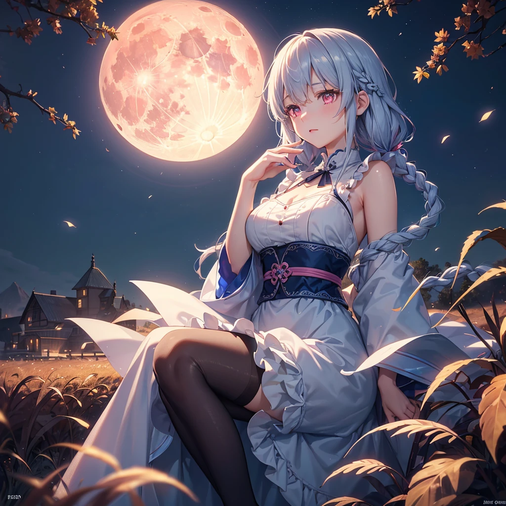 (Dumplings piled up next to each other),(Sky blue braided medium length hair), (Pink eyes),(Fair skin)  ,(whole body),(One Girl),(harvest moon),(A large amount of Miscanthus sinensis in the background),autumn,(full moon),(masterpiece, Highest quality, Very detailed, Best Shadow), (Detailed Background), (Beautifully detailed face), High Contrast, (Best lighting, Very delicate and beautiful), ((Cinematic Light)), Hyper Detail,8k, Dramatic Light, Intricate details