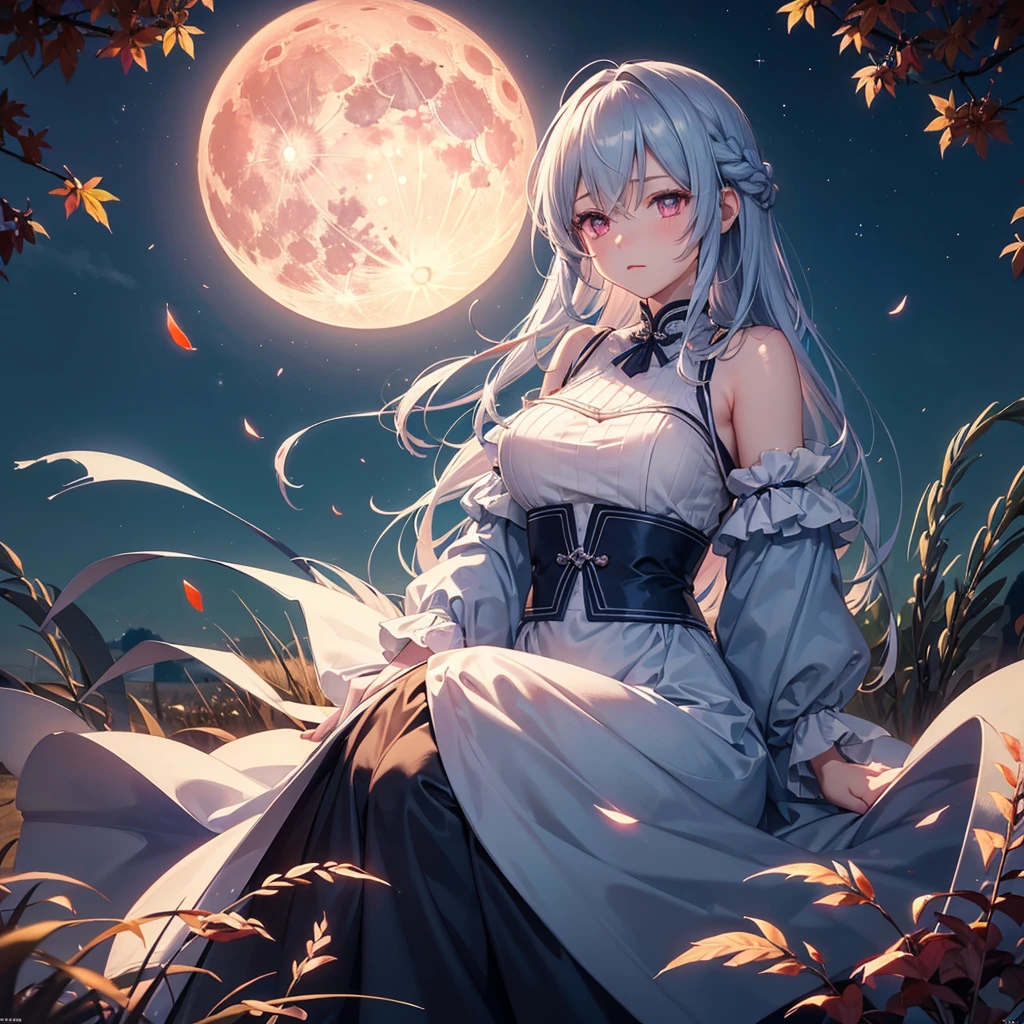 (Dumplings piled up next to each other),(Sky blue braided medium length hair), (Pink eyes),(Fair skin) ,(whole body),(One Girl),(harvest moon),(A large amount of Miscanthus sinensis in the background),autumn,(full moon),(masterpiece, Highest quality, Very detailed, Best Shadow), (Detailed Background), (Beautifully detailed face), High Contrast, (Best lighting, Very delicate and beautiful), ((Cinematic Light)), Hyper Detail,8k, Dramatic Light, Intricate details