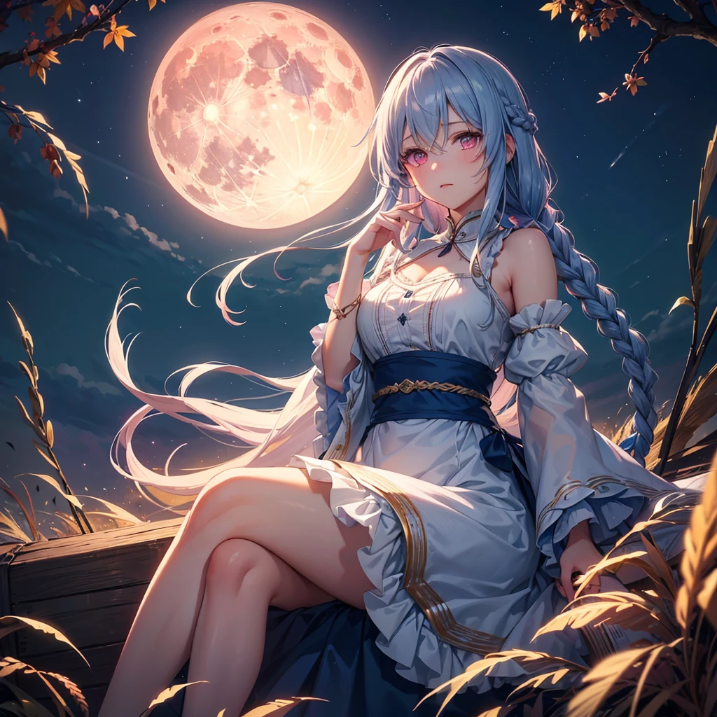 (Sky blue braided medium length hair), (Pink eyes),(Fair skin) ,(whole body),(One Girl),(harvest moon),(A large amount of Miscanthus sinensis in the background),autumn,(full moon),(masterpiece, Highest quality, Very detailed, Best Shadow), (Detailed Background), (Beautifully detailed face), High Contrast, (Best lighting, Very delicate and beautiful), ((Cinematic Light)), Hyper Detail,8k, Dramatic Light, Intricate details