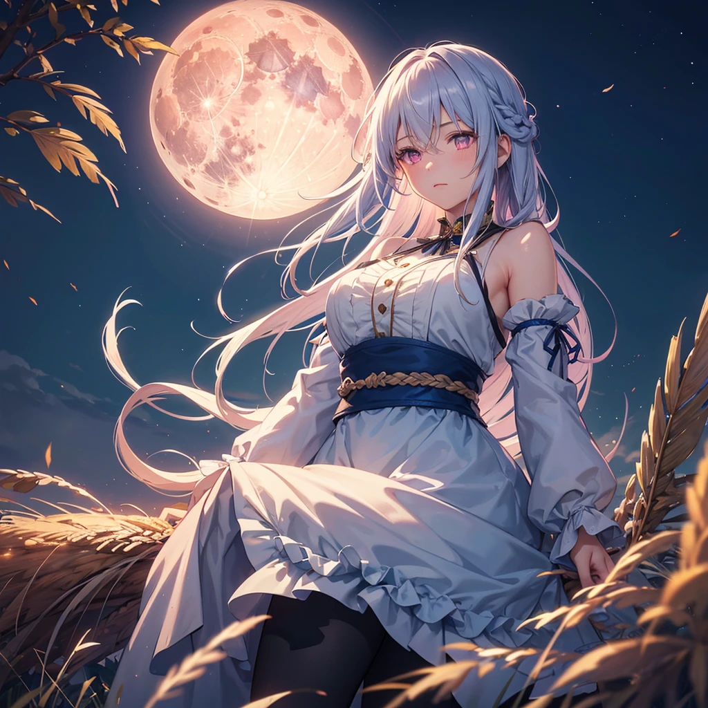 (Sky blue braided medium length hair), (Pink eyes),(Fair skin) ,(whole body),(One Girl),(harvest moon),(A large amount of Miscanthus sinensis in the background),autumn,(full moon),(masterpiece, Highest quality, Very detailed, Best Shadow), (Detailed Background), (Beautifully detailed face), High Contrast, (Best lighting, Very delicate and beautiful), ((Cinematic Light)), Hyper Detail,8k, Dramatic Light, Intricate details