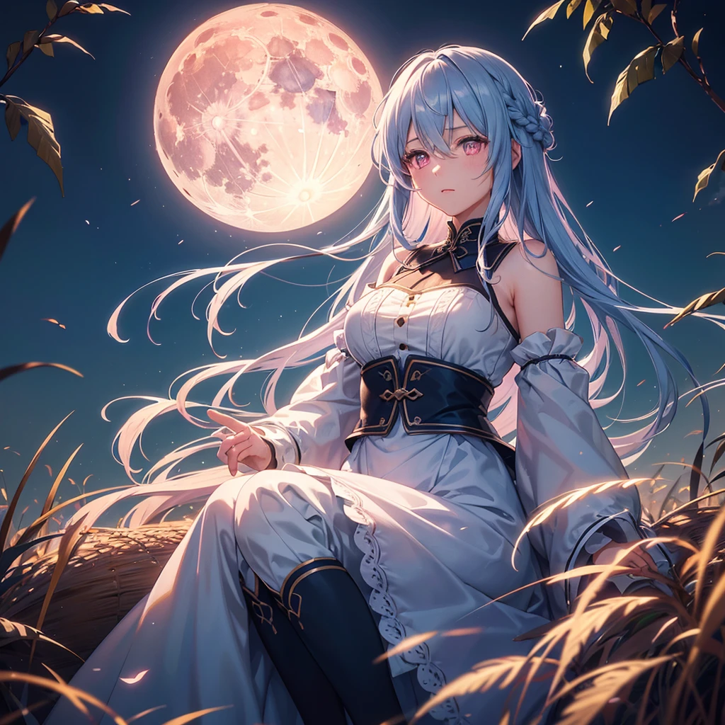 (Sky blue braided medium length hair), (Pink eyes),(Fair skin)  ,(whole body),(One Girl),(harvest moon),(A large amount of Miscanthus sinensis in the background),autumn,(full moon),(masterpiece, Highest quality, Very detailed, Best Shadow), (Detailed Background), (Beautifully detailed face), High Contrast, (Best lighting, Very delicate and beautiful), ((Cinematic Light)), Hyper Detail,8k, Dramatic Light, Intricate details