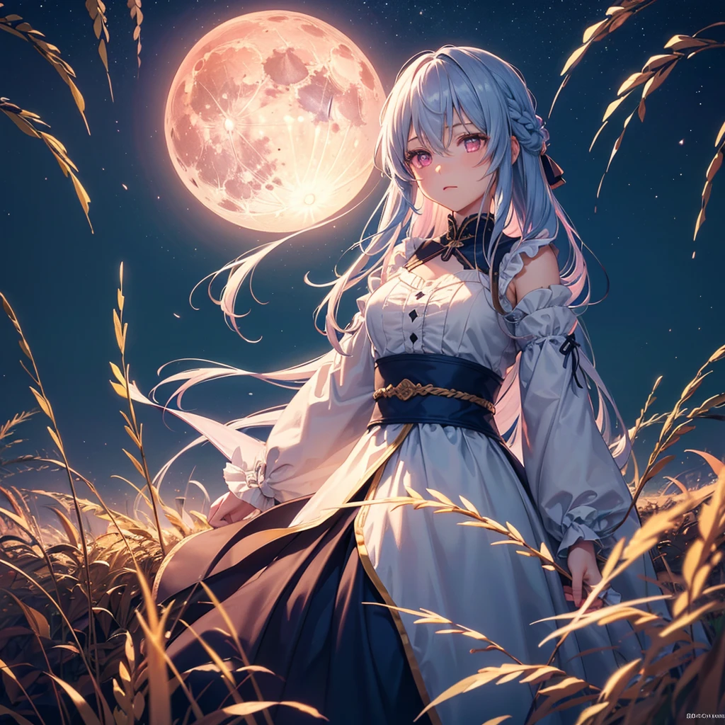 (Sky blue braided medium length hair), (Pink eyes),(Fair skin) ,(whole body),(One Girl),(harvest moon),(A large amount of Miscanthus sinensis in the background),autumn,(full moon),(masterpiece, Highest quality, Very detailed, Best Shadow), (Detailed Background), (Beautifully detailed face), High Contrast, (Best lighting, Very delicate and beautiful), ((Cinematic Light)), Hyper Detail,8k, Dramatic Light, Intricate details