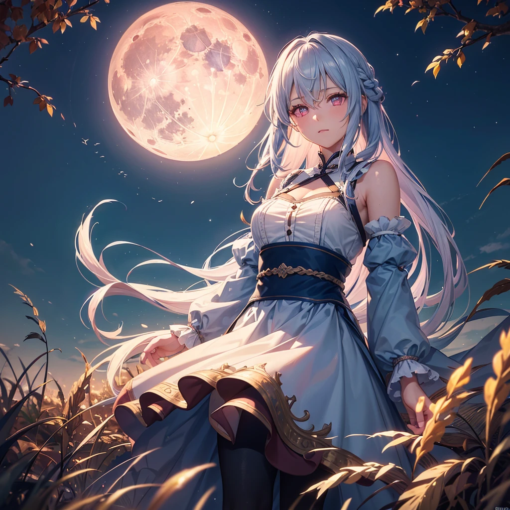 (Sky blue braided medium length hair), (Pink eyes),(Fair skin) ,(whole body),(One Girl),(harvest moon),(A large amount of Miscanthus sinensis in the background),autumn,(full moon),(masterpiece, Highest quality, Very detailed, Best Shadow), (Detailed Background), (Beautifully detailed face), High Contrast, (Best lighting, Very delicate and beautiful), ((Cinematic Light)), Hyper Detail,8k, Dramatic Light, Intricate details