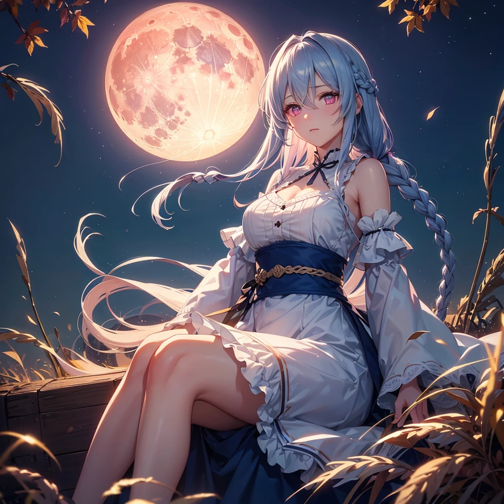 (Sky blue braided medium length hair), (Pink eyes),(Fair skin) ,(whole body),(One Girl),(harvest moon),(A large amount of Miscanthus sinensis in the background),autumn,(full moon),(masterpiece, Highest quality, Very detailed, Best Shadow), (Detailed Background), (Beautifully detailed face), High Contrast, (Best lighting, Very delicate and beautiful), ((Cinematic Light)), Hyper Detail,8k, Dramatic Light, Intricate details