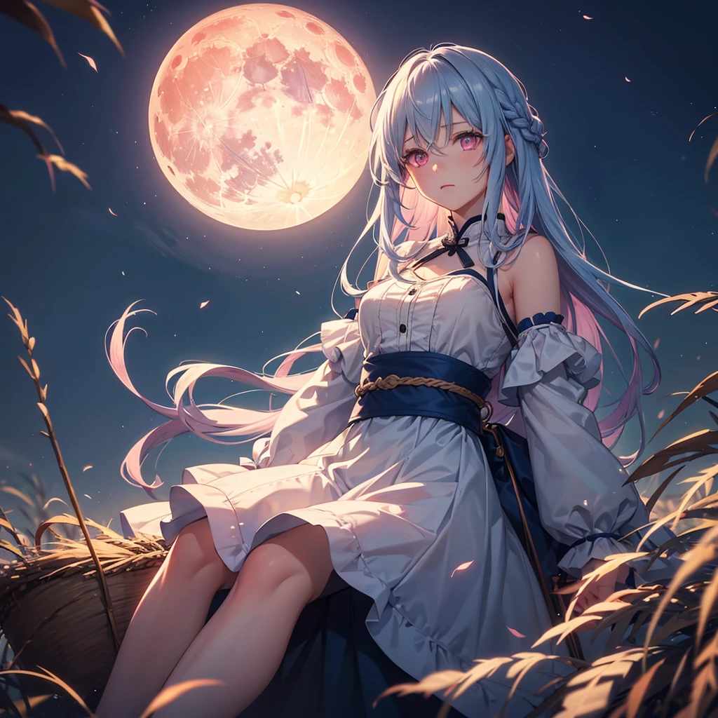 (Sky blue braided medium length hair), (Pink eyes),(Fair skin) ,(whole body),(One Girl),(harvest moon),(Miscanthus sinensis in the background),autumn,(full moon),(masterpiece, Highest quality, Very detailed, Best Shadow), (Detailed Background), (Beautifully detailed face), High Contrast, (Best lighting, Very delicate and beautiful), ((Cinematic Light)), Hyper Detail,8k, Dramatic Light,