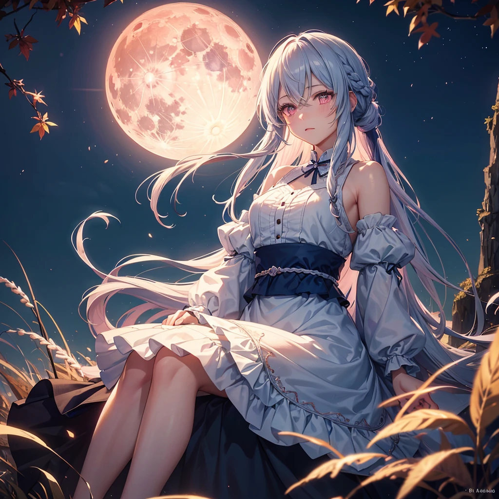 (Sky blue braided medium length hair), (Pink eyes),(Fair skin) ,(whole body),(One Girl),(harvest moon),(Miscanthus sinensis in the background),autumn,(full moon),(masterpiece, Highest quality, Very detailed, Best Shadow), (Detailed Background), (Beautifully detailed face), High Contrast, (Best lighting, Very delicate and beautiful), ((Cinematic Light)), Hyper Detail,8k, Dramatic Light,