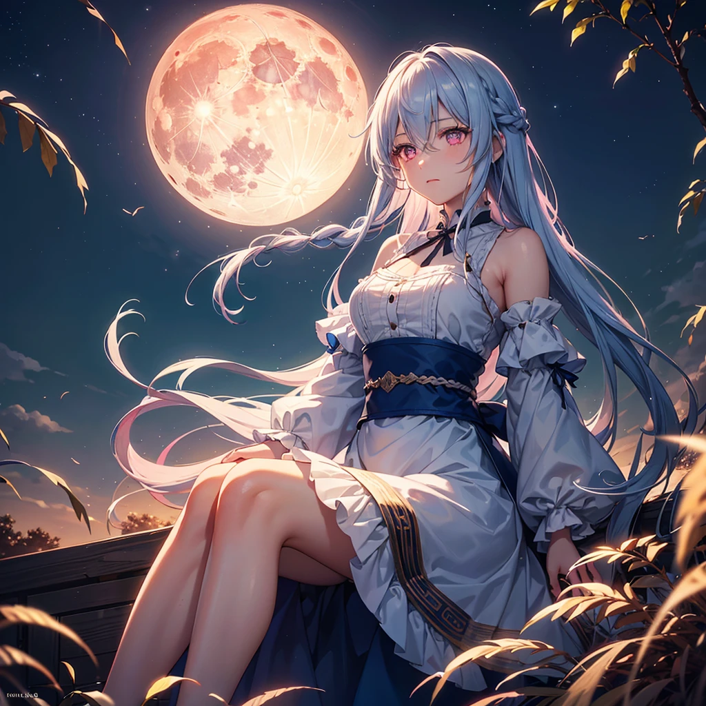 (Sky blue braided medium length hair), (Pink eyes),(Fair skin) ,(whole body),(One Girl),(harvest moon),(Miscanthus sinensis in the background),autumn,(full moon),(masterpiece, Highest quality, Very detailed, Best Shadow), (Detailed Background), (Beautifully detailed face), High Contrast, (Best lighting, Very delicate and beautiful), ((Cinematic Light)), Hyper Detail,8k, Dramatic Light,