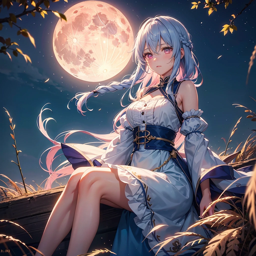 (Sky blue braided medium length hair), (Pink eyes),(Fair skin)  ,(whole body),(One Girl),(harvest moon),(Miscanthus sinensis in the background),autumn,(full moon),(masterpiece, Highest quality, Very detailed, Best Shadow), (Detailed Background), (Beautifully detailed face), High Contrast, (Best lighting, Very delicate and beautiful), ((Cinematic Light)), Hyper Detail,8k, Dramatic Light, 