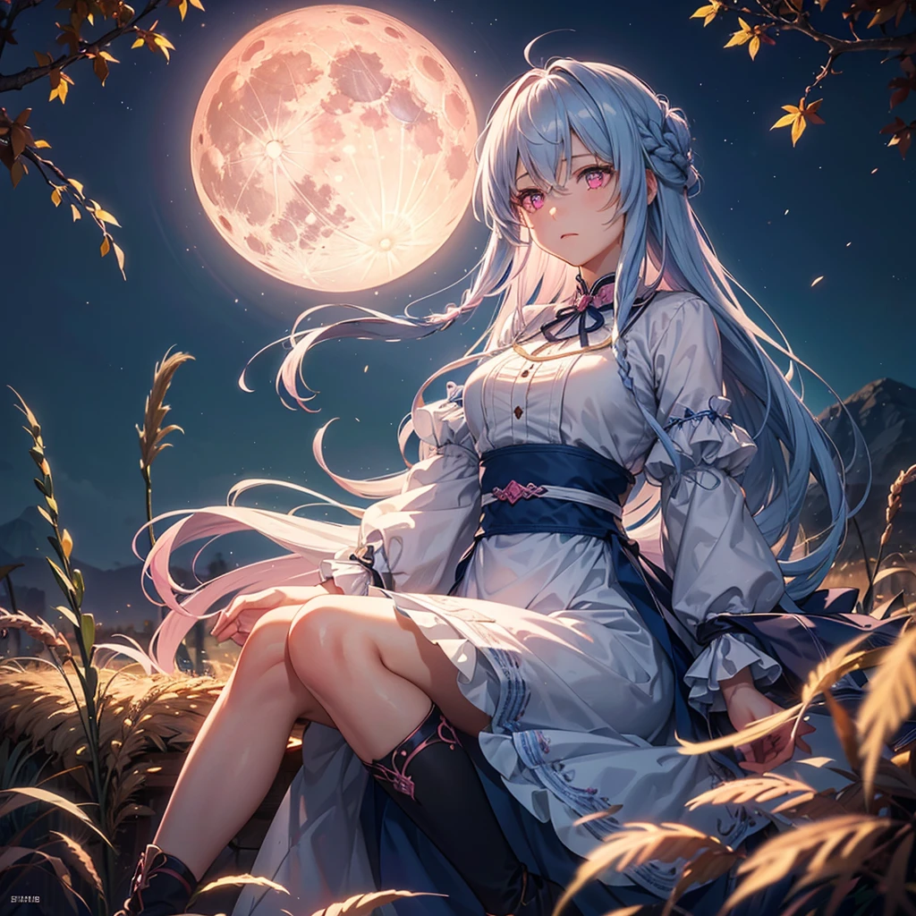 (Sky blue braided medium length hair), (Pink eyes),(Fair skin)  ,(whole body),(One Girl),(harvest moon),(Miscanthus sinensis in the background),autumn,(full moon),(masterpiece, Highest quality, Very detailed, Best Shadow), (Detailed Background), (Beautifully detailed face), High Contrast, (Best lighting, Very delicate and beautiful), ((Cinematic Light)), Hyper Detail,8k, Dramatic Light, 