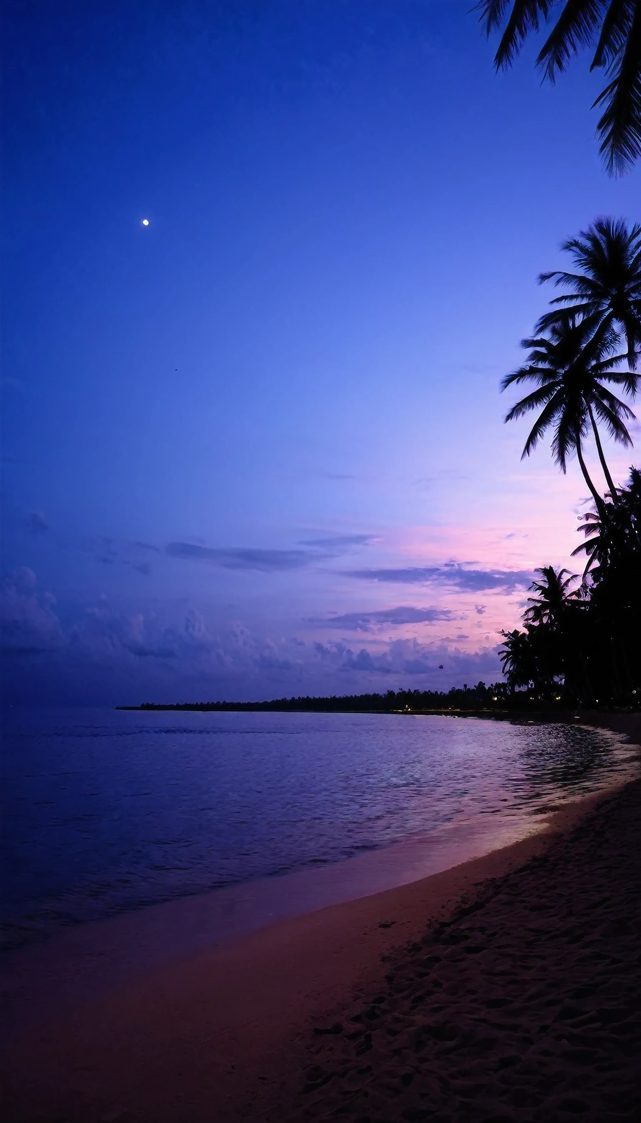 Night time,just after the sunset,a beach, coconut trees,sea view,