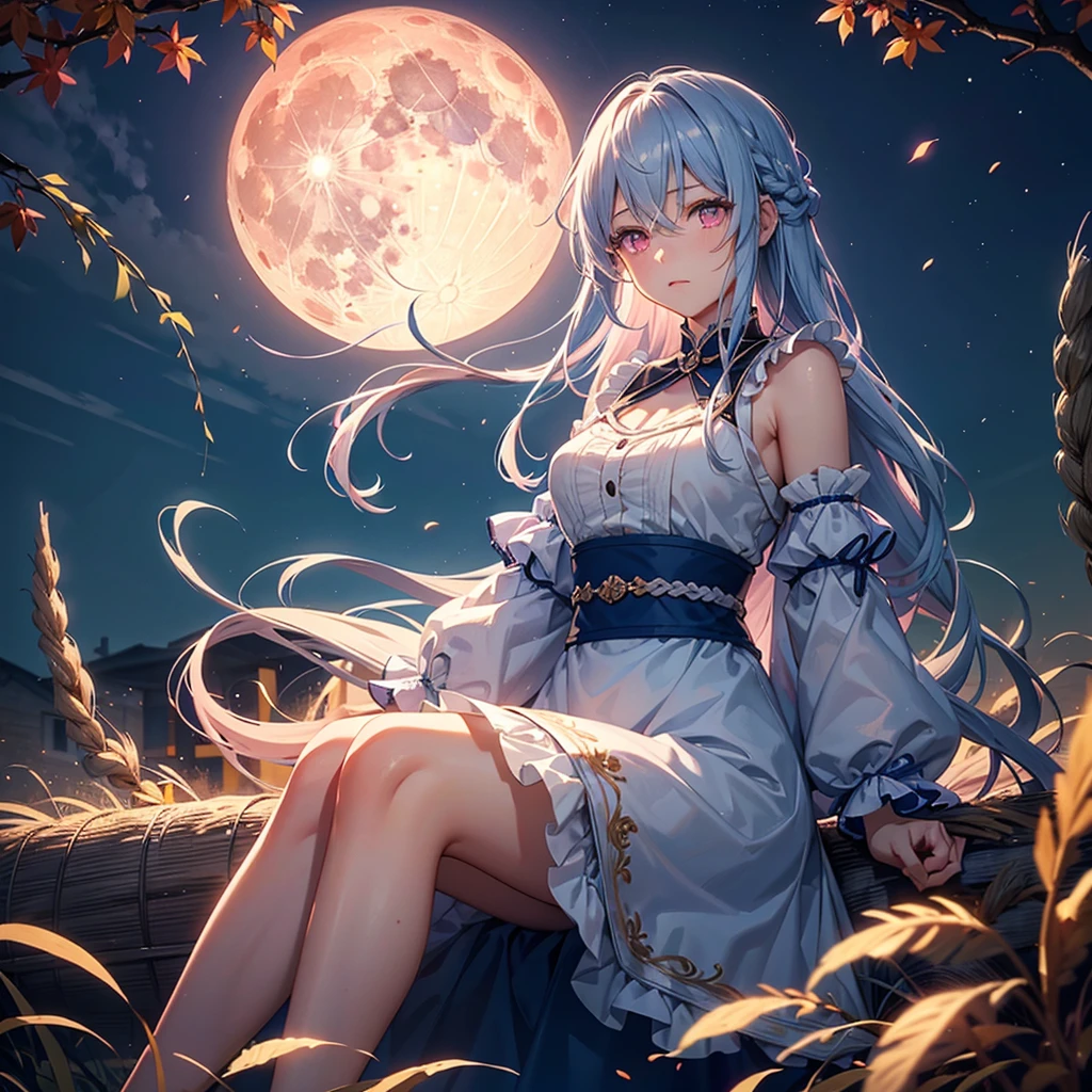 (Sky blue braided medium length hair), (Pink eyes),(Fair skin) ,(whole body),(One Girl),(harvest moon),(Miscanthus sinensis in the background),autumn,(full moon),(masterpiece, Highest quality, Very detailed, Best Shadow), (Detailed Background), (Beautifully detailed face), High Contrast, (Best lighting, Very delicate and beautiful), ((Cinematic Light)), Hyper Detail,8k, Dramatic Light,