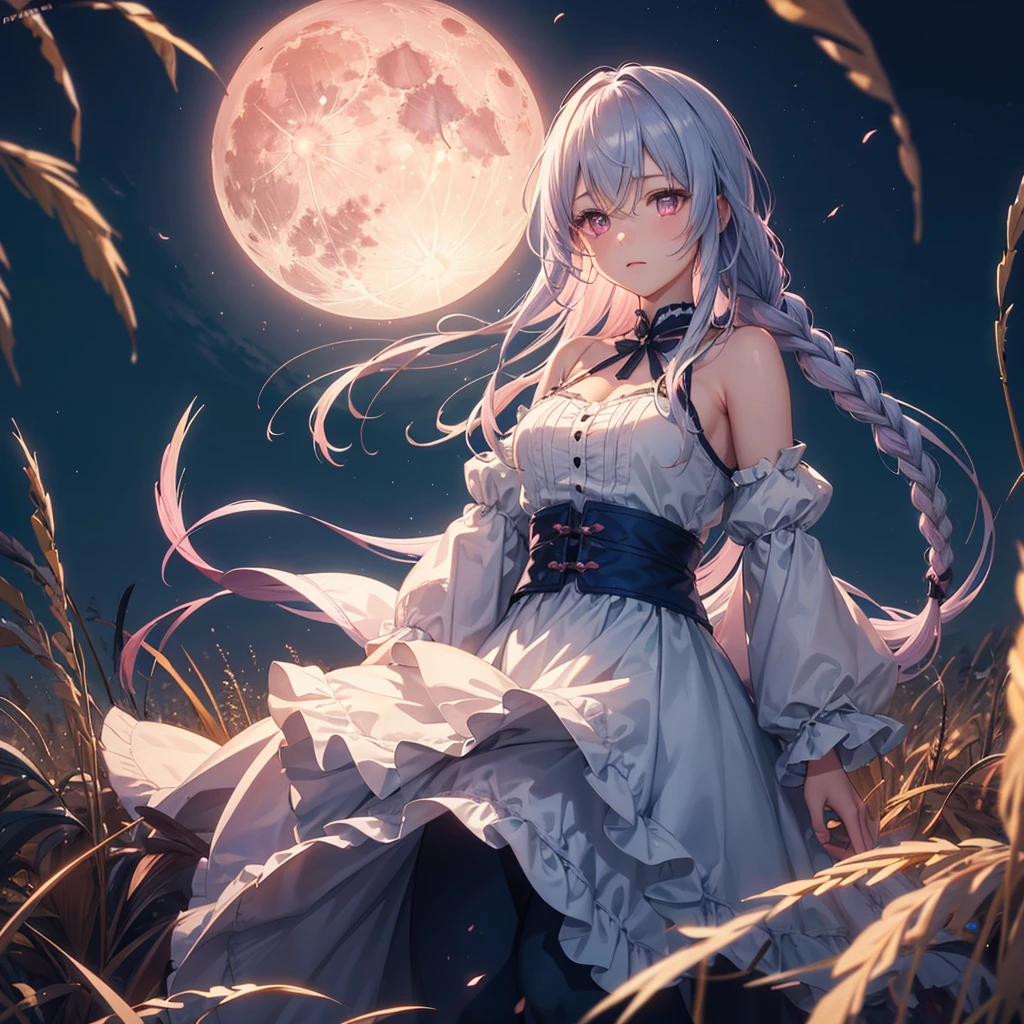 (Sky blue braided medium length hair), (Pink eyes),(Fair skin) ,(whole body),(One Girl),(harvest moon),(Miscanthus sinensis in the background),autumn,(full moon),(masterpiece, Highest quality, Very detailed, Best Shadow), (Detailed Background), (Beautifully detailed face), High Contrast, (Best lighting, Very delicate and beautiful), ((Cinematic Light)), Hyper Detail,8k, Dramatic Light,