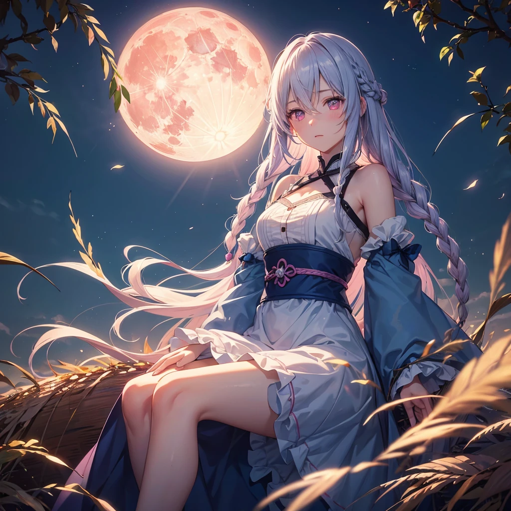 (Sky blue braided medium length hair), (Pink eyes),(Fair skin)  ,(whole body),(One Girl),(harvest moon),(Miscanthus sinensis in the background),autumn,(full moon),(masterpiece, Highest quality, Very detailed, Best Shadow), (Detailed Background), (Beautifully detailed face), High Contrast, (Best lighting, Very delicate and beautiful), ((Cinematic Light)), Hyper Detail,8k, Dramatic Light, 