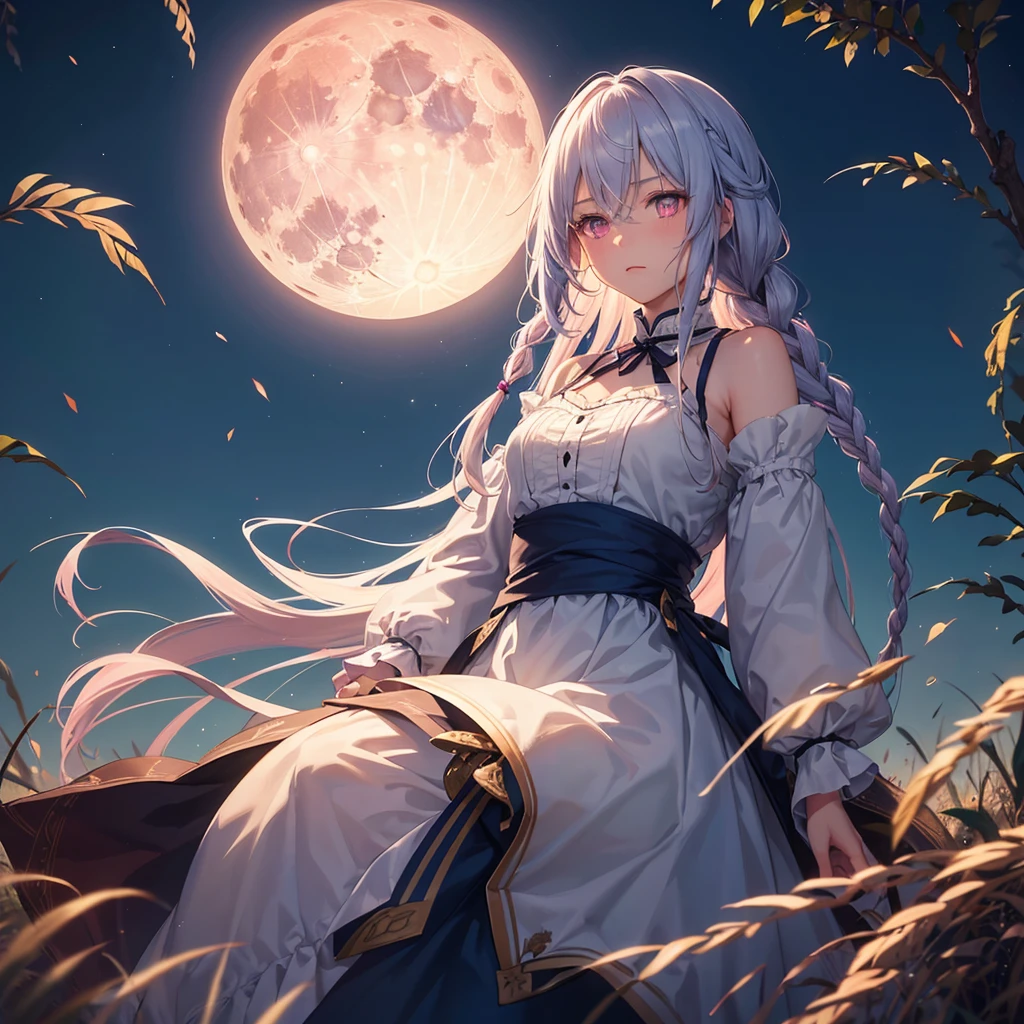 (Sky blue braided medium length hair), (Pink eyes),(Fair skin) ,(whole body),(One Girl),(harvest moon),(Miscanthus sinensis in the background),autumn,(full moon),(masterpiece, Highest quality, Very detailed, Best Shadow), (Detailed Background), (Beautifully detailed face), High Contrast, (Best lighting, Very delicate and beautiful), ((Cinematic Light)), Hyper Detail,8k, Dramatic Light,