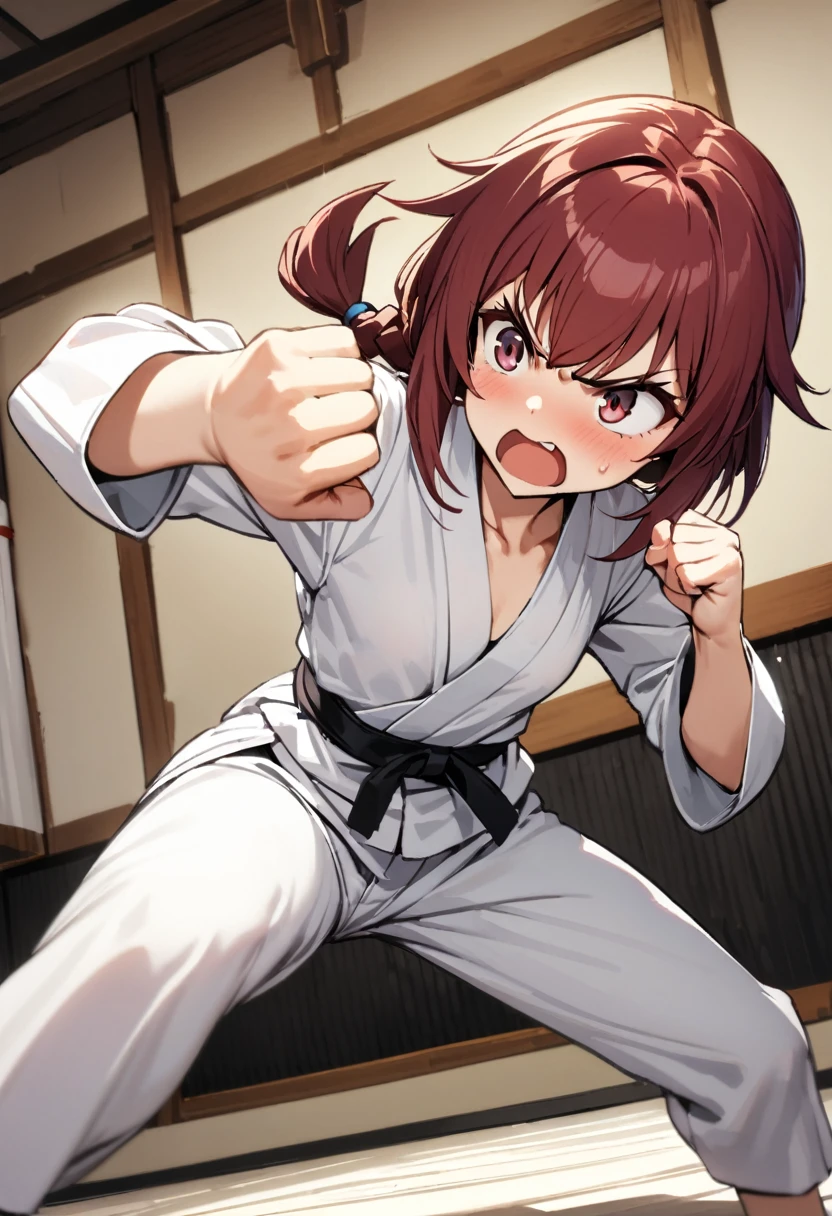 ((karate)), ((Menina lutando karate)), (((1girl))), ((little girl)), angry, whole body, perfect face, Pure white karate uniform, White collar, karate stance, white long sleeve, Martial arts hall, white pants, Plain white clothes, Black belt, action, flat chest, (((low ponytail))), ((braid)), Cherry red hair, tsurime, make a fist, ready a fist, masterpiece, best quality, high details, anatomically correct, high quality, best quality