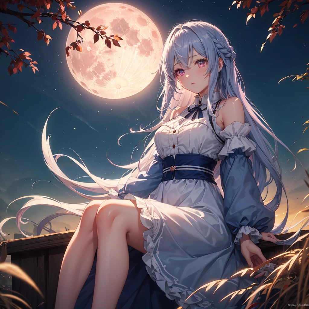 (Sky blue braided medium length hair), (Pink eyes),(Fair skin) ,(whole body),(One Girl),(harvest moon),(Miscanthus sinensis in the background),autumn,(full moon),(masterpiece, Highest quality, Very detailed, Best Shadow), (Detailed Background), (Beautifully detailed face), High Contrast, (Best lighting, Very delicate and beautiful), ((Cinematic Light)), Hyper Detail,8k, Dramatic Light,