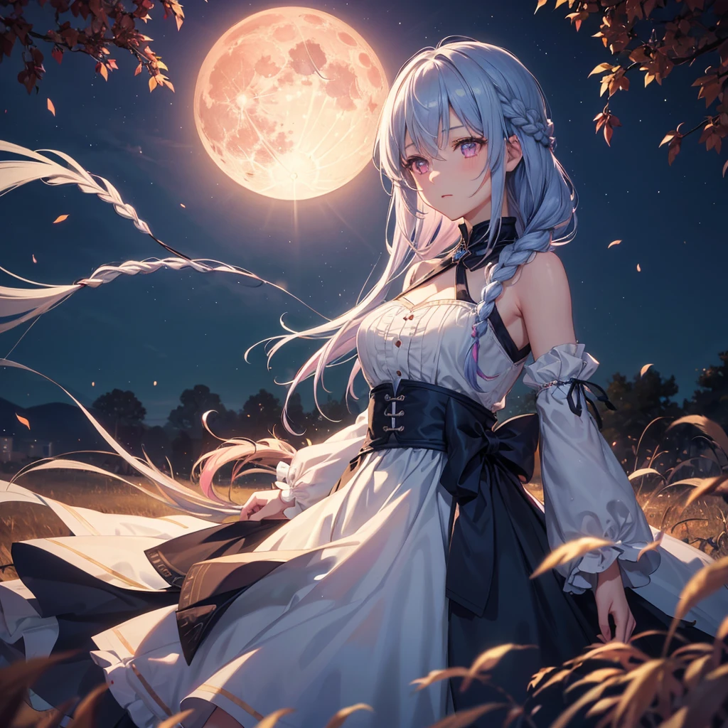 (Braiding),(Sky blue medium hair), (Pink eyes),(Fair skin)  ,(whole body),(One Girl),(harvest moon),(A large amount of Miscanthus sinensis in the background),autumn,(full moon),(masterpiece, Highest quality, Very detailed, Best Shadow), (Detailed Background), (Beautifully detailed face), High Contrast, (Best lighting, Very delicate and beautiful), ((Cinematic Light)), Hyper Detail,8k, Dramatic Light, Intricate details