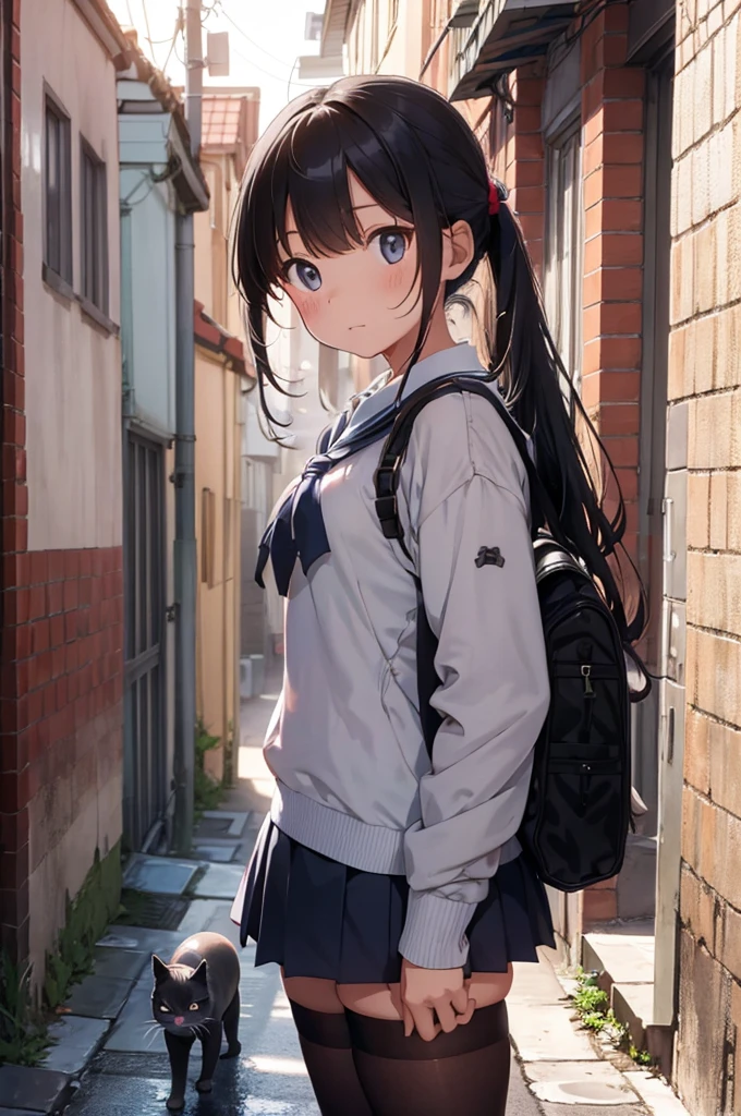girl wearing school uniform with a grey cat next to her, alleyway, sunset