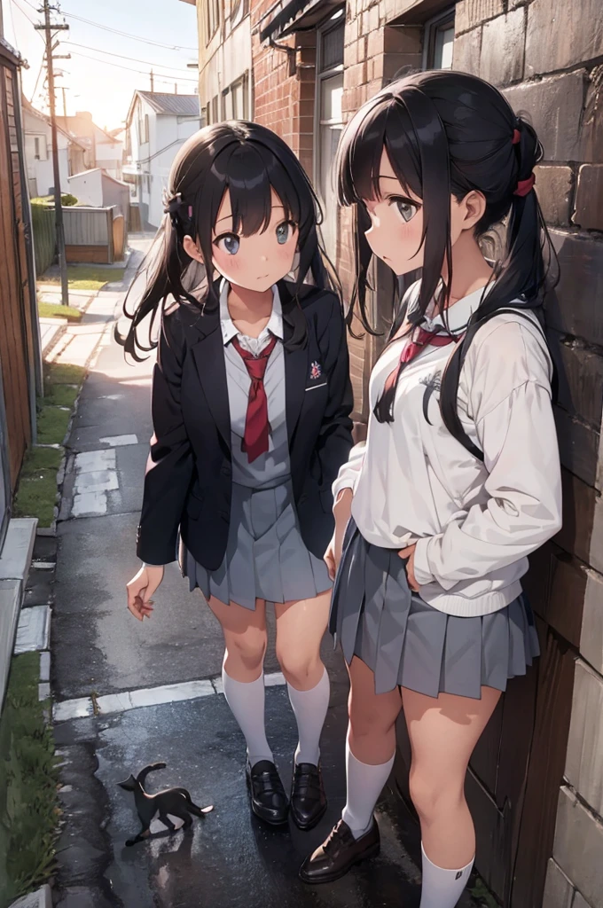 one girl wearing school uniform with a grey cat next to her, alleyway, sunset