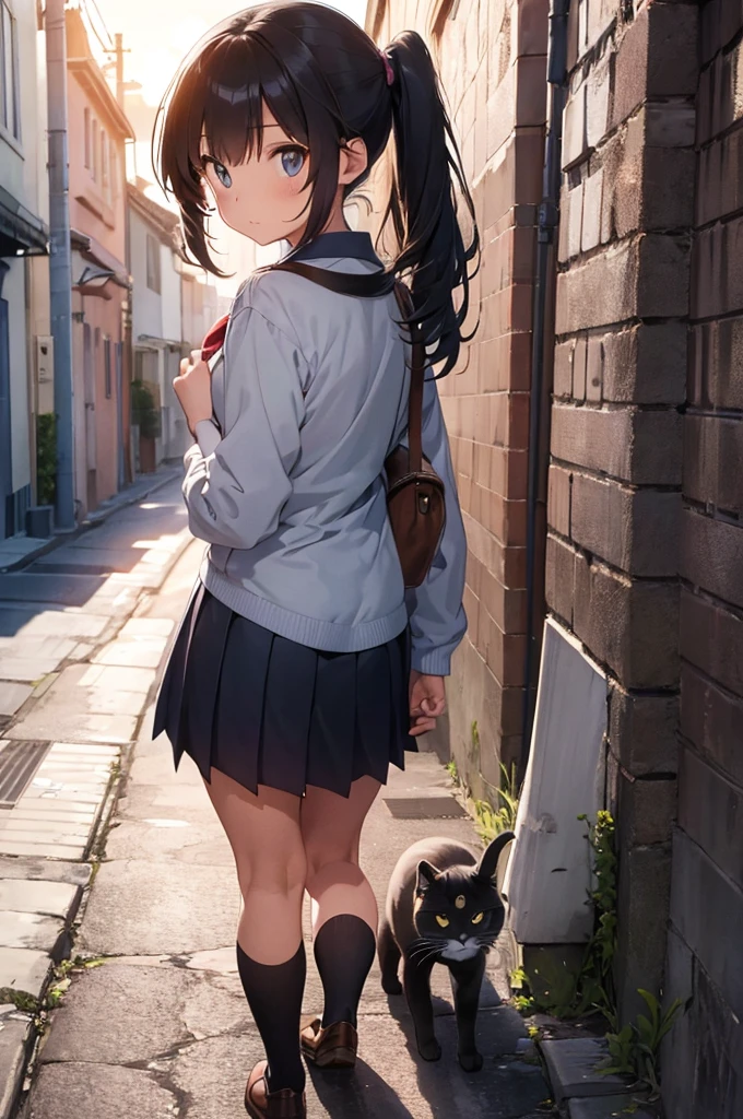 one girl wearing school uniform with a grey cat next to her, alleyway, sunset