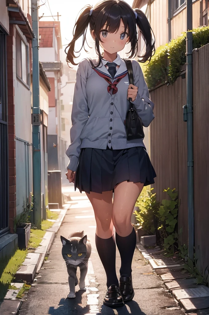 one girl wearing school uniform with a grey cat next to her, alleyway, sunset