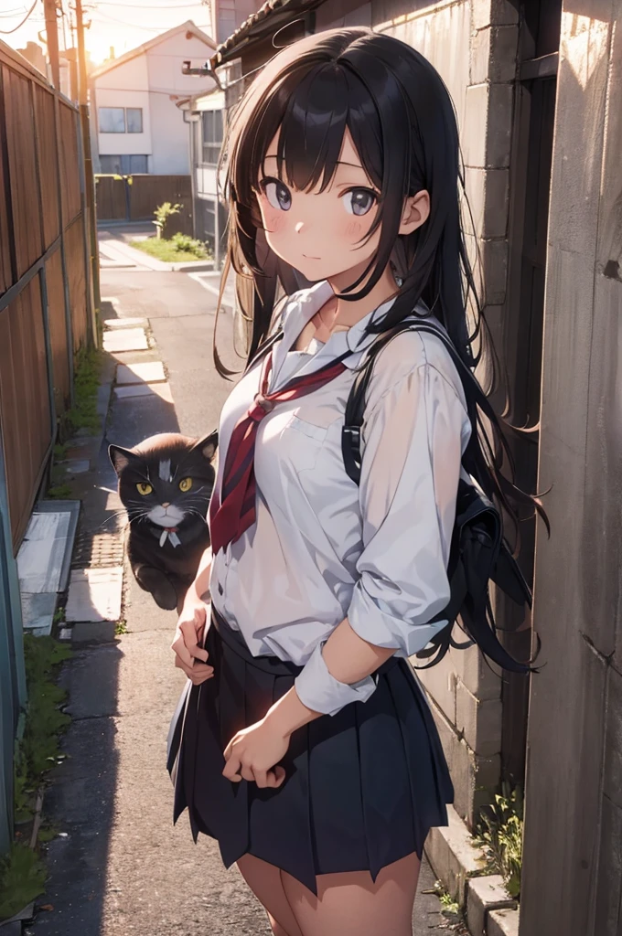 one girl wearing school uniform with a grey cat next to her, alleyway, sunset