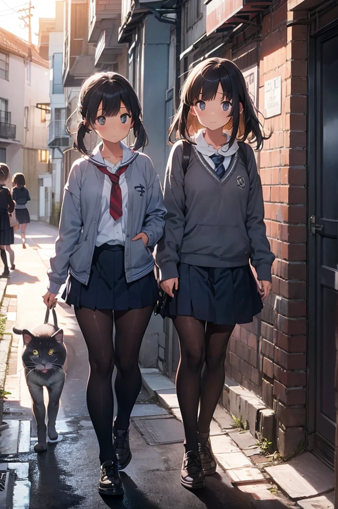 one girl wearing school uniform with a grey cat next to her, alleyway, sunset