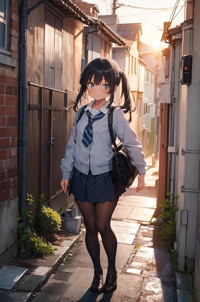 one girl wearing school uniform with grey cat on top of her, alleyway, sunset