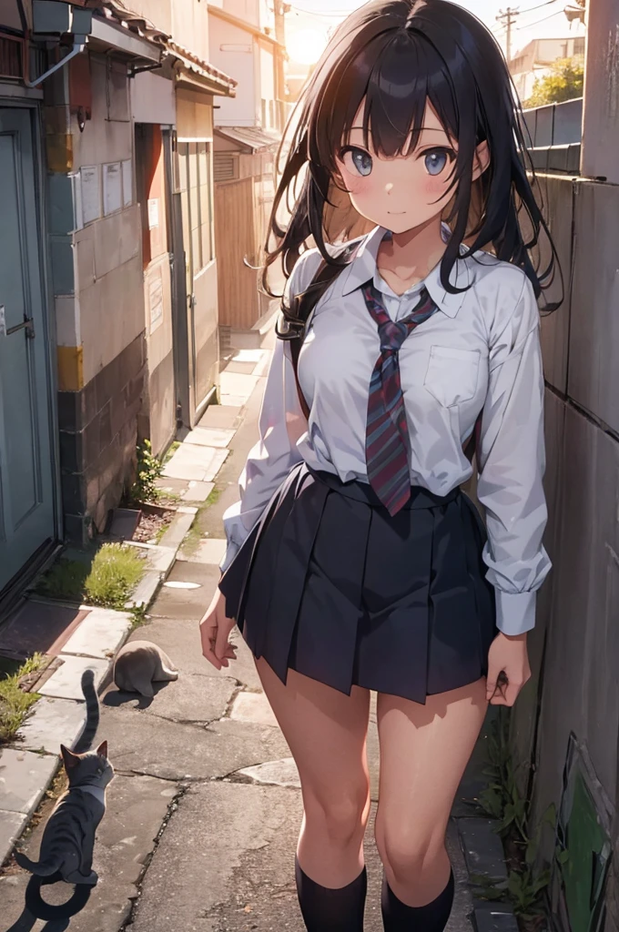 one girl wearing school uniform with grey cat on top of her, alleyway, sunset