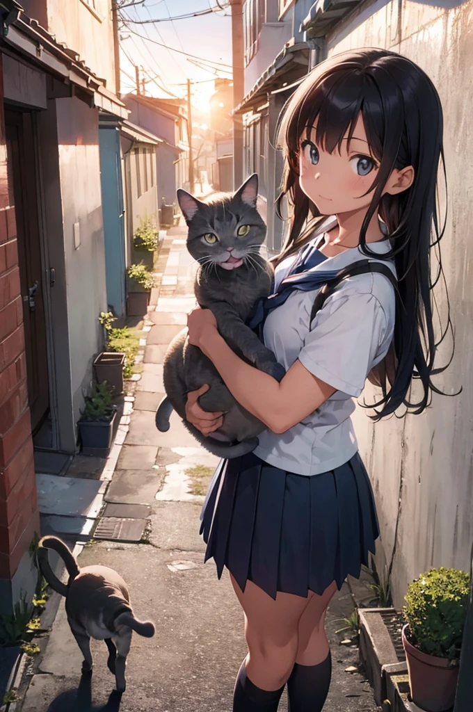 one girl wearing school uniform carrying a grey cat, alleyway, sunset