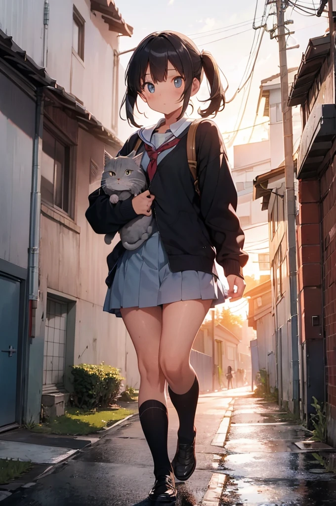 one girl wearing school uniform carrying a grey cat, alleyway, sunset