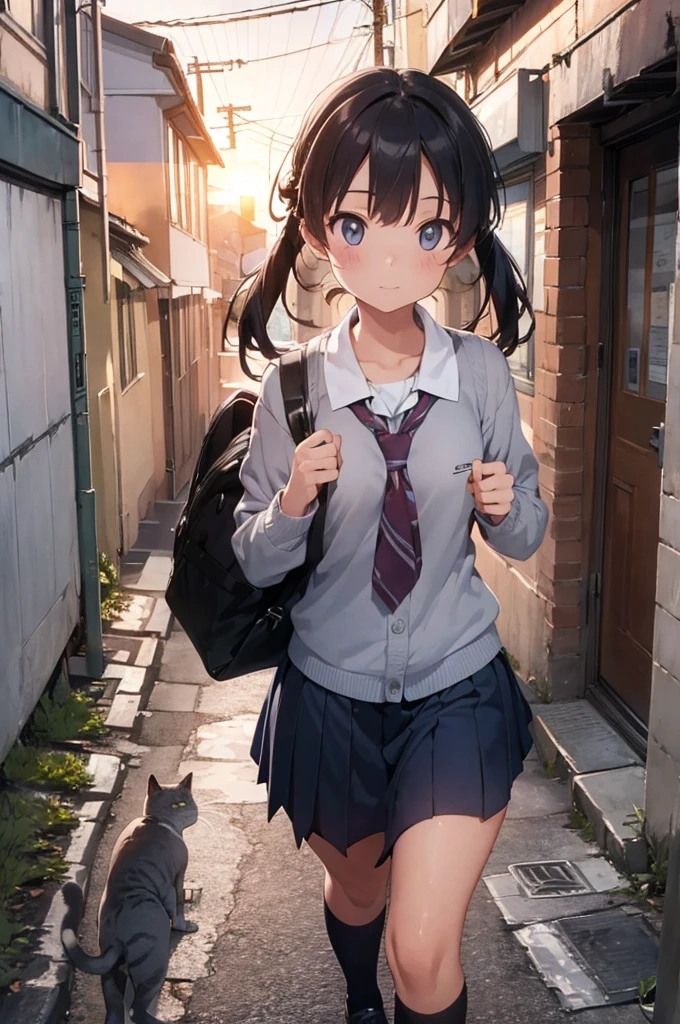 one girl wearing school uniform carrying a grey cat, alleyway, sunset