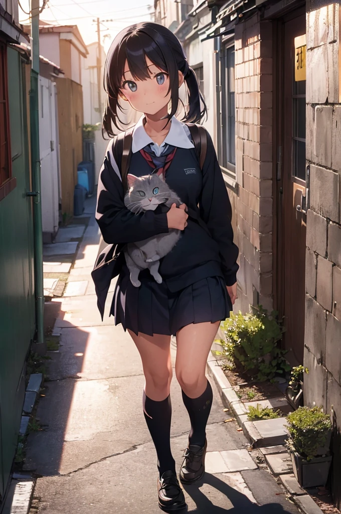 one girl wearing school uniform carrying a grey cat, alleyway, sunset