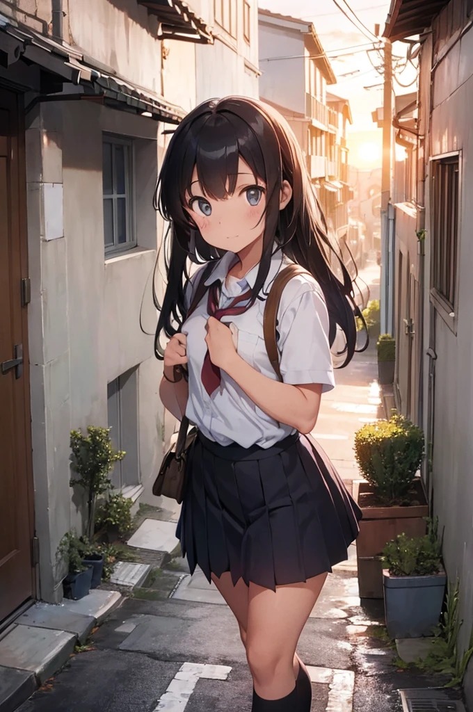 one girl wearing school uniform carrying a grey cat, alleyway, sunset