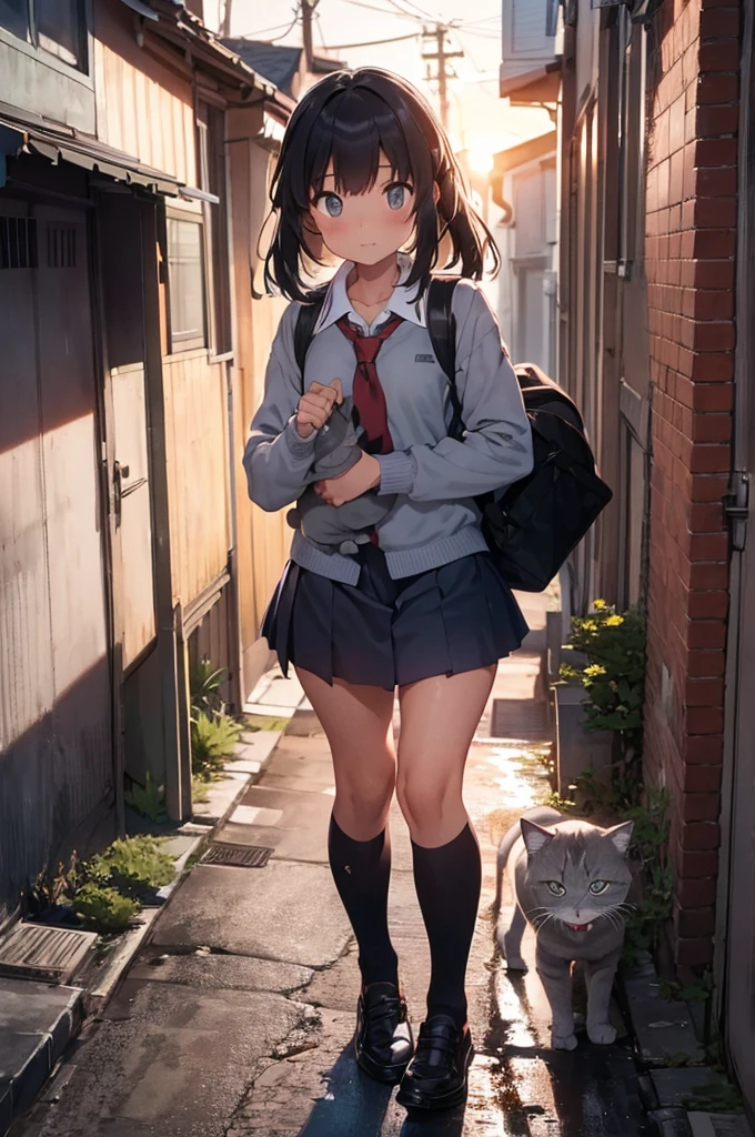 one girl wearing school uniform carrying a grey cat, alleyway, sunset