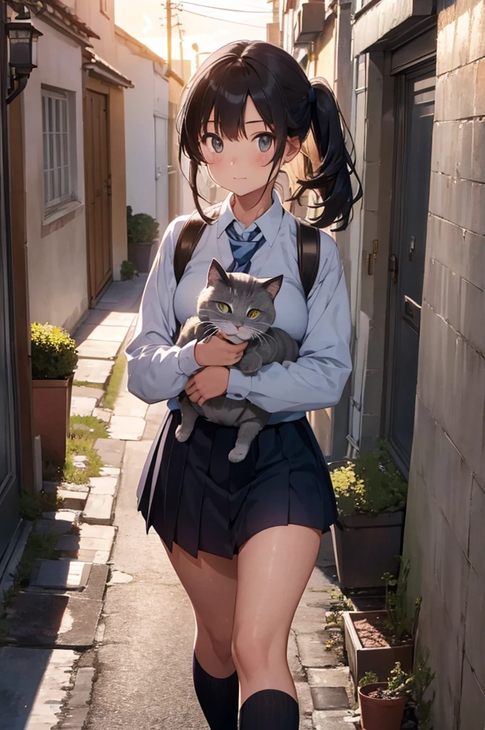 one girl in school uniform carrying a grey cat, alleyway, sunset