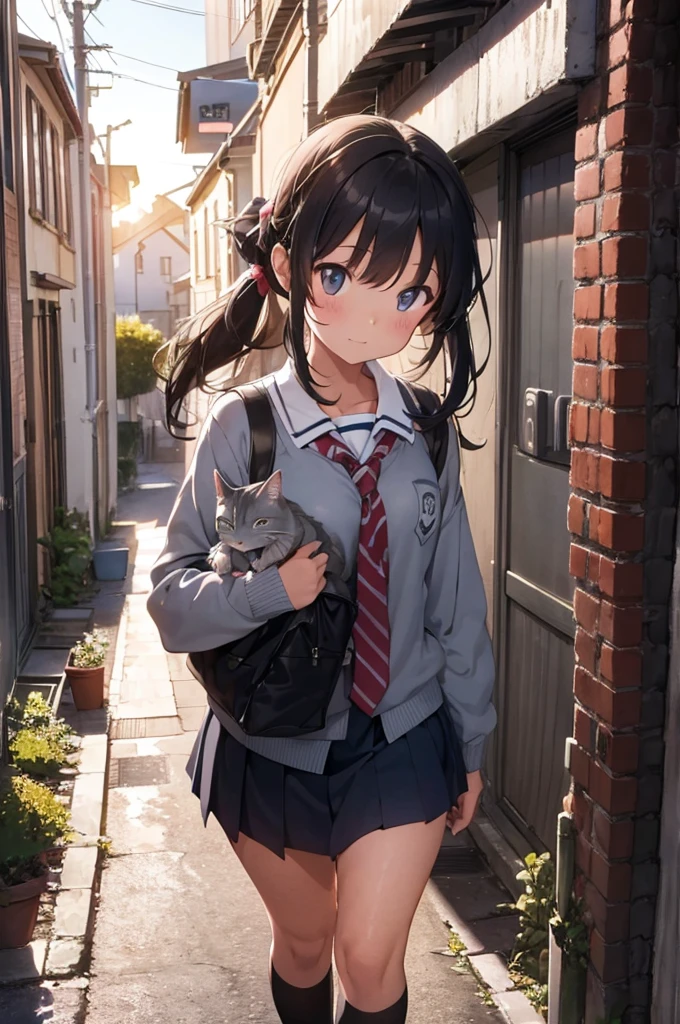 one girl in school uniform picking up a grey cat, alleyway, sunset